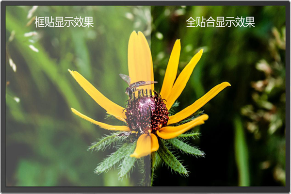 全貼合和框貼有啥區(qū)別？