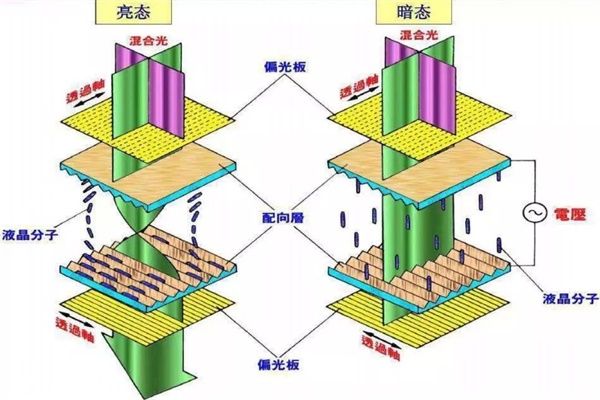 每天都在看的手機(jī)屏，是怎么做出來的？